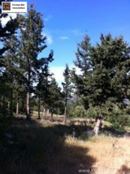 Douliana Kreta, Doulina-Kalyves einzigartiges Baugrundstück mit Wald Grundstück kaufen